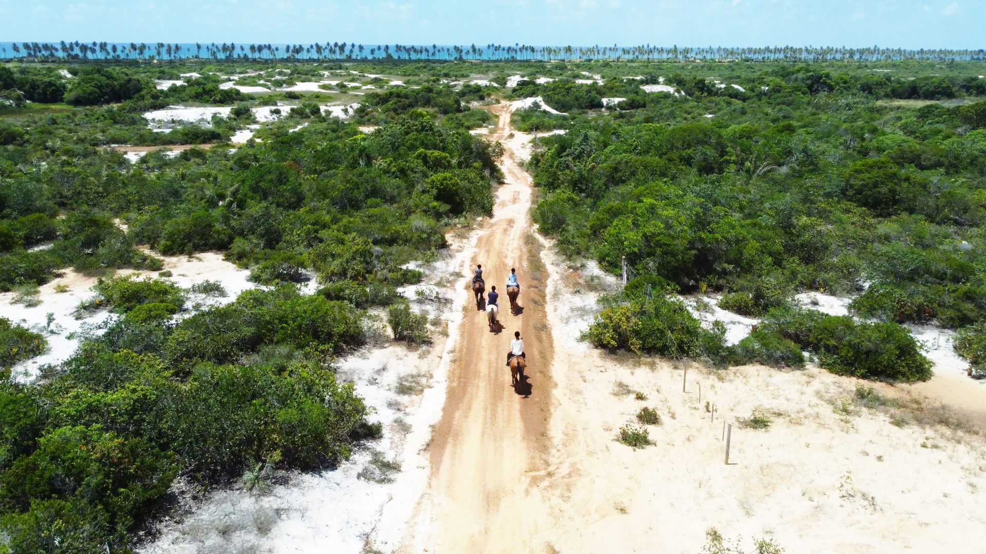 Cabalgue entre mar y naturaleza